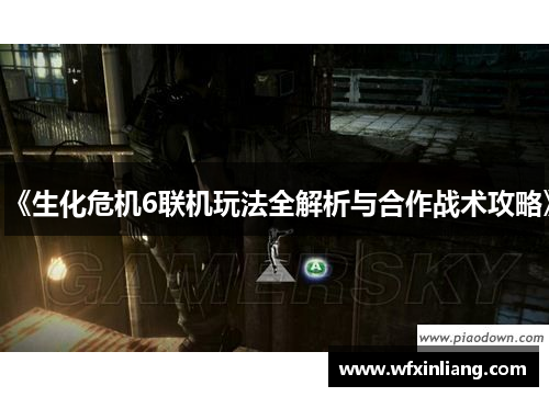 《生化危机6联机玩法全解析与合作战术攻略》