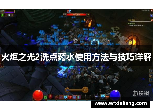 火炬之光2洗点药水使用方法与技巧详解