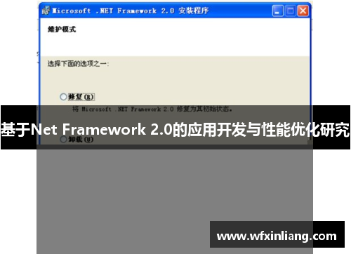 基于Net Framework 2.0的应用开发与性能优化研究
