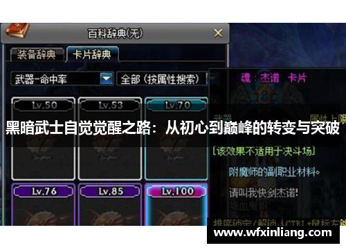 黑暗武士自觉觉醒之路：从初心到巅峰的转变与突破