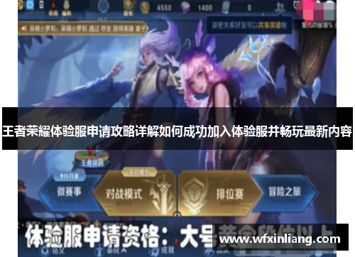 王者荣耀体验服申请攻略详解如何成功加入体验服并畅玩最新内容